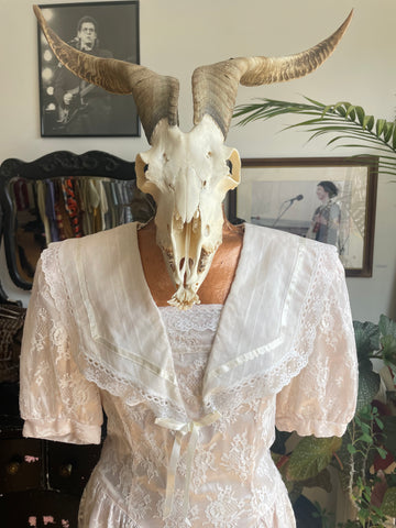 Vintage and modern fashions for The Anthropocene Epoch – Red Rabbit Bazaar