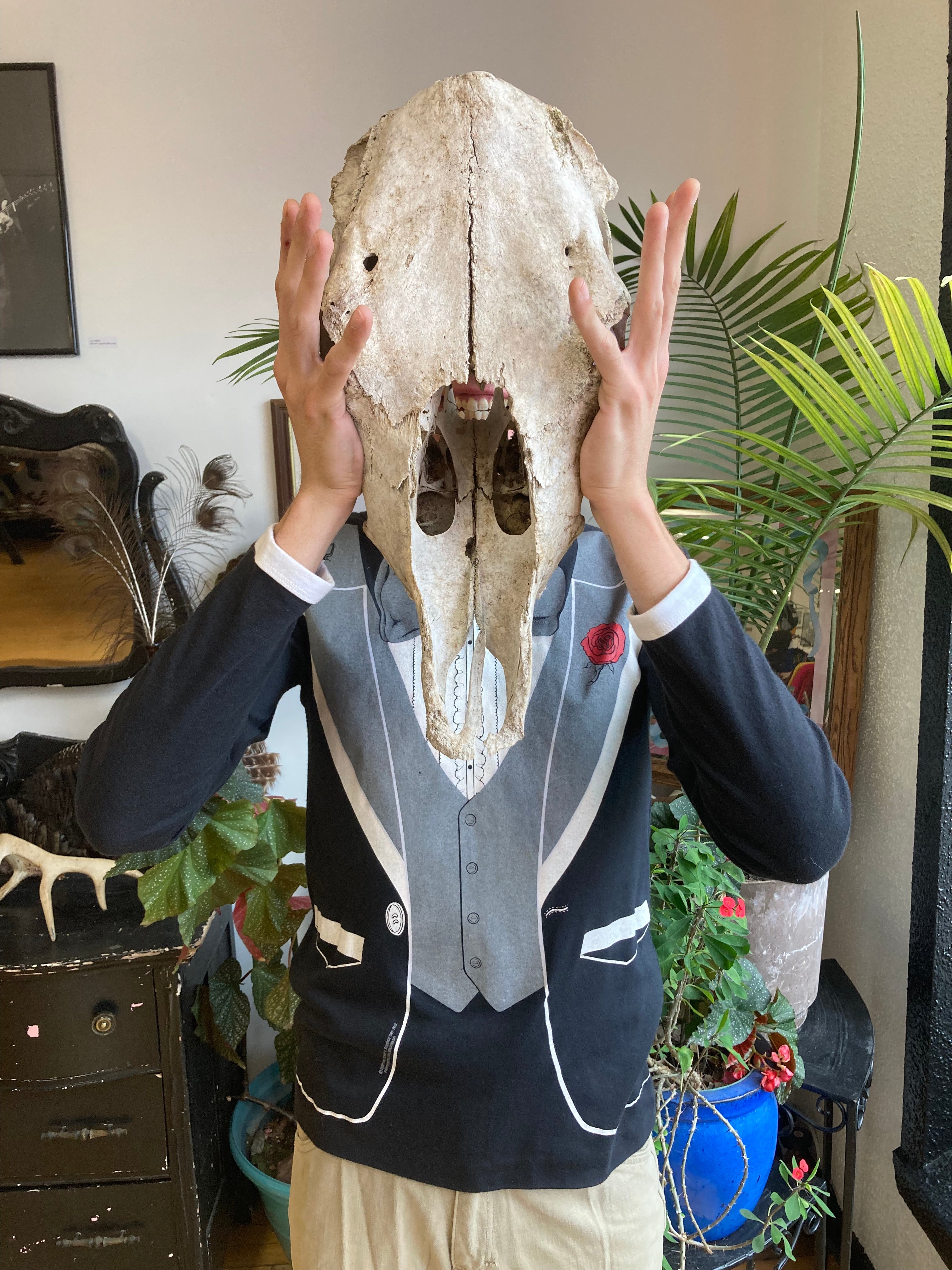 Products – Red Rabbit Bazaar