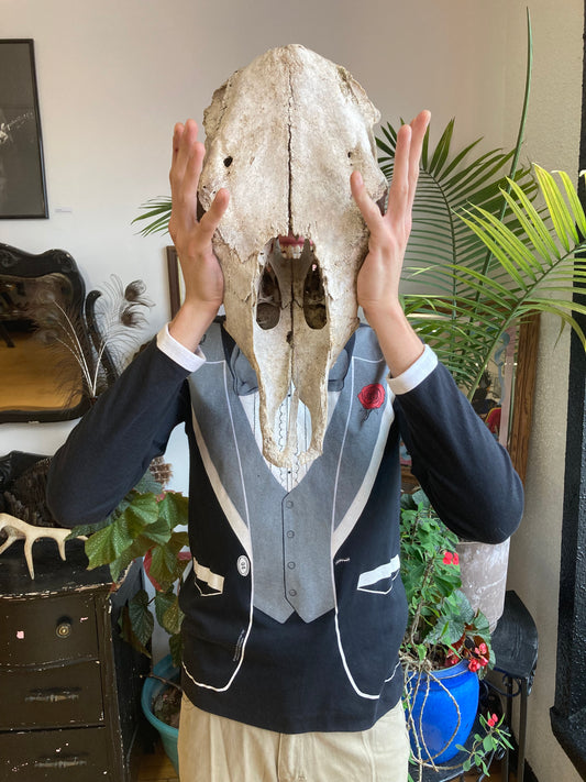 Products – Red Rabbit Bazaar